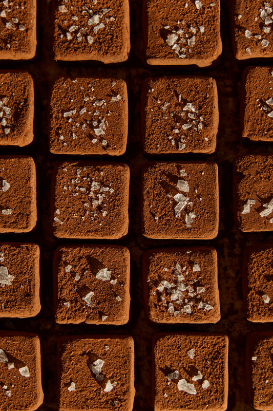 Close-up of square chocolate truffles , dusted with cocoa powder, and topped with flaky sea salt arranged in a grid.