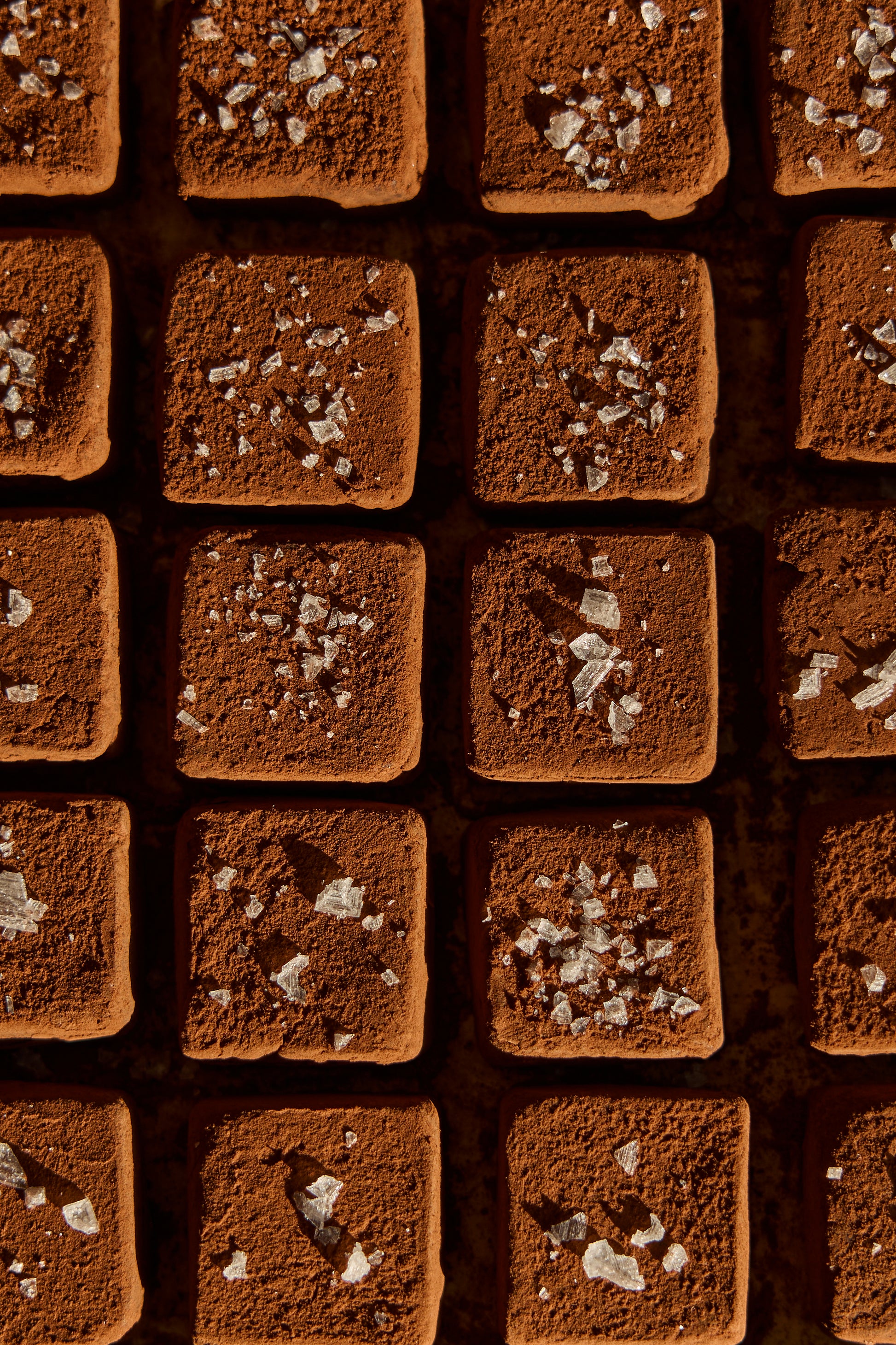 Close-up of square chocolate truffles , dusted with cocoa powder, and topped with flaky sea salt arranged in a grid.