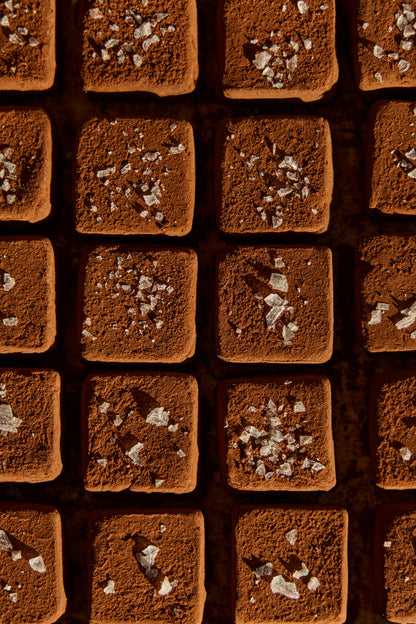 Close-up of square chocolate truffles , dusted with cocoa powder, and topped with flaky sea salt arranged in a grid.